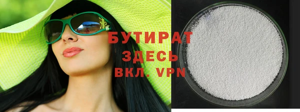 индика Новодвинск