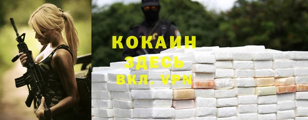 mdpv Няндома