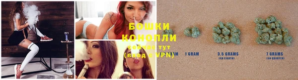 прущие грибы Нягань