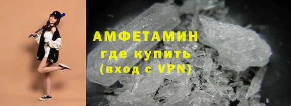 прущие грибы Нягань