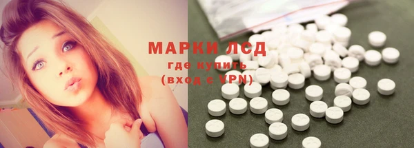 прущие грибы Нягань