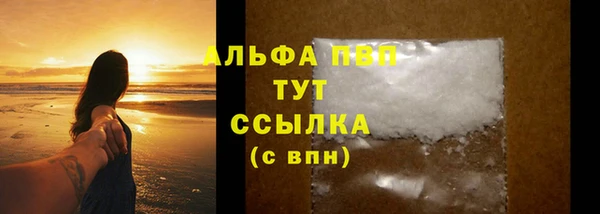 прущие грибы Нягань