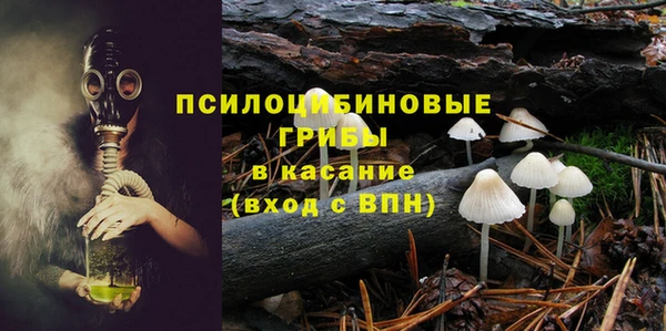 прущие грибы Нягань