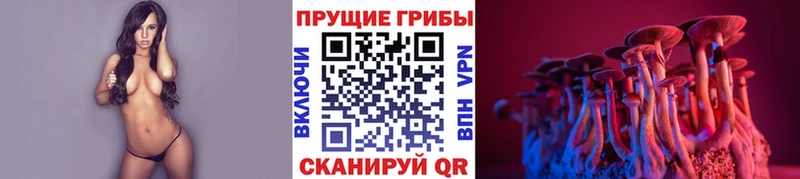 Псилоцибиновые грибы MAGIC MUSHROOMS  купить наркотик  Людиново 