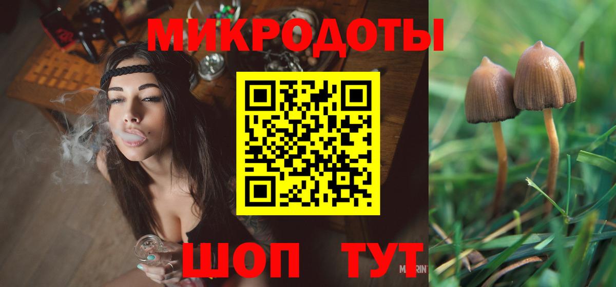 Галлюциногенные грибы Magic Shrooms  Псилоцибиновые грибы Psilocybe  Вход с VPN  Людиново 